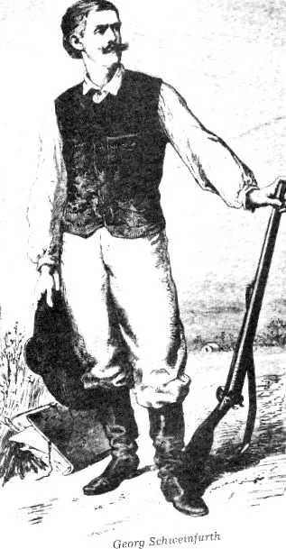 басенджі