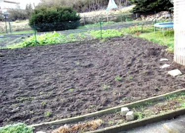 grădina