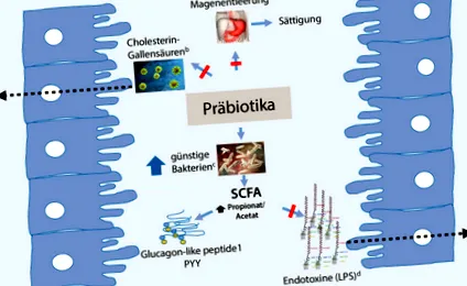 metabolice