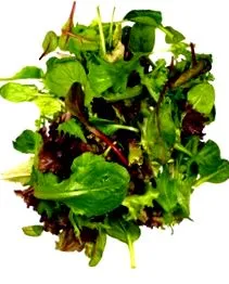 legume