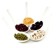 legume