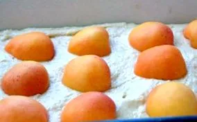 вкусен вкус