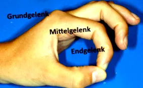 ízületi felületek