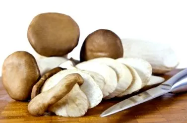 rakott