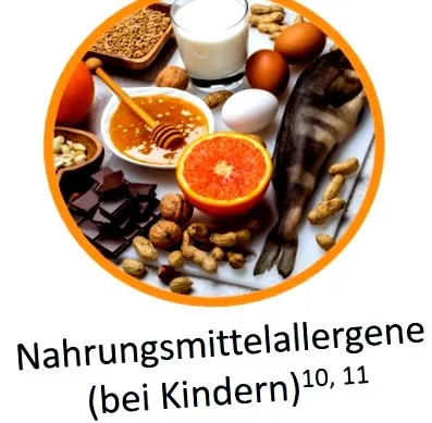 szövetség