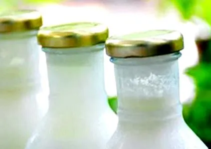kefir