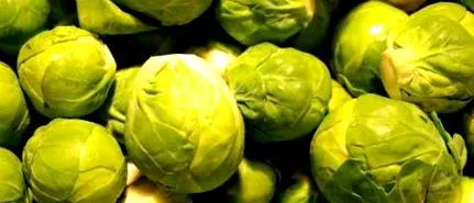 dietă