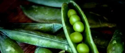 dietă