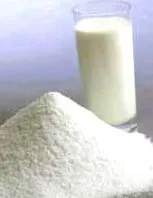 dairy