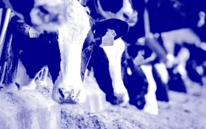 jelenléte