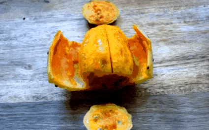 tulajdonságai
