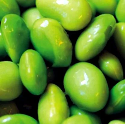 allergia