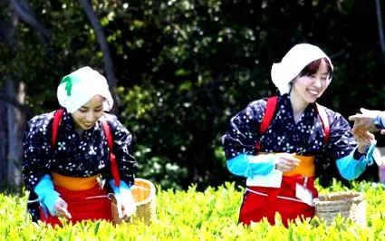 japonia