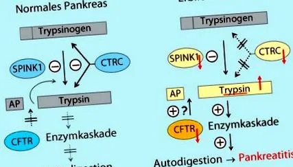 PubMed CrossRef Google
