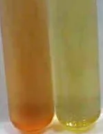 преглед