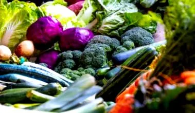 nutriție
