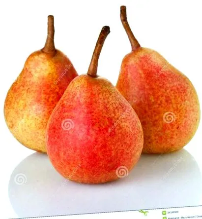 körte
