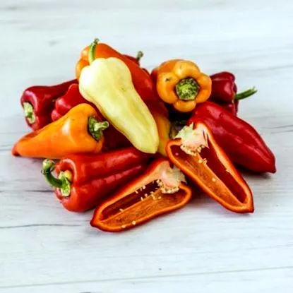 органски органски