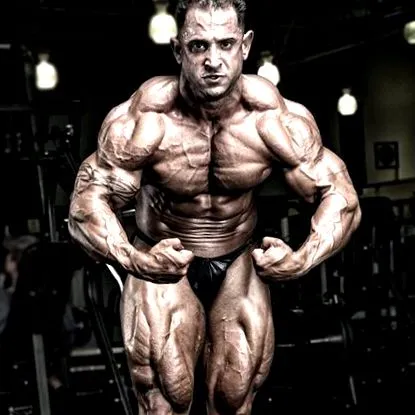 endomorf