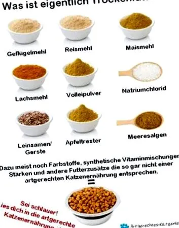 macskák