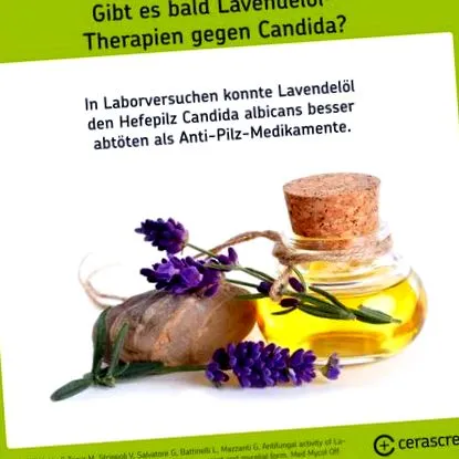 Candida albicans