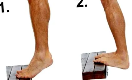 exerciții