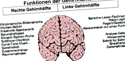 táplálék egészséges
