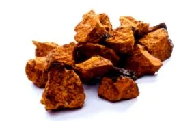 ciuperci