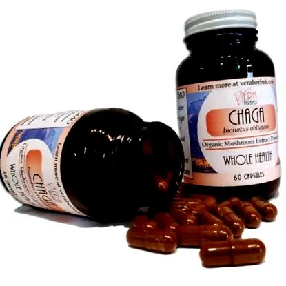 chaga