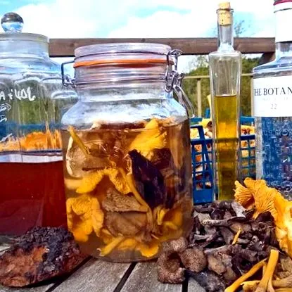 chaga