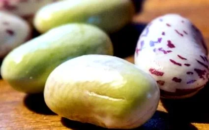 egészséges természetes