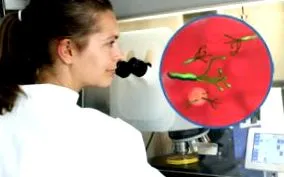 pylori