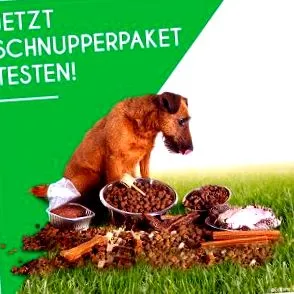 megfelelő táplálék