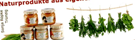 tisztítása