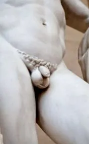 dimensiunile