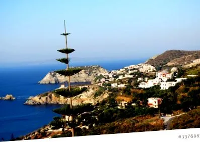 pelagia