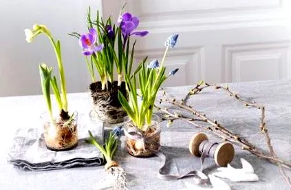 decor