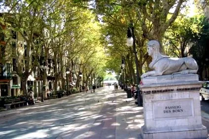 mallorcában