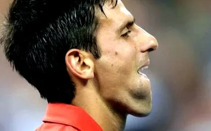 novak tages-anzeiger