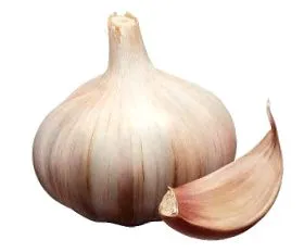 detocol