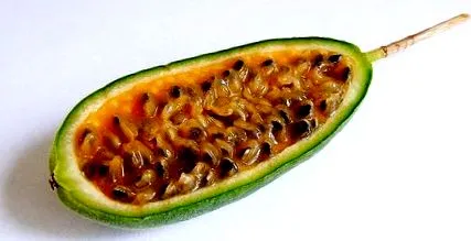 populare fructe