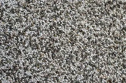 seed