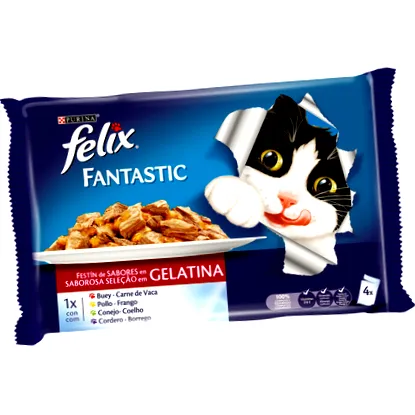 felix