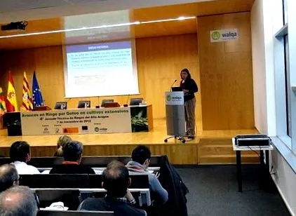 csic