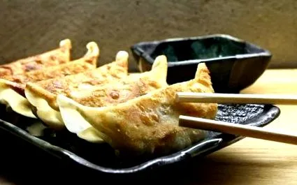 gyoza