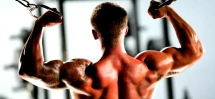 fitnesz