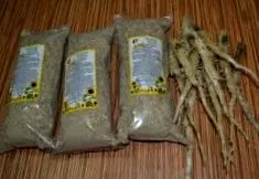 rădăcinile