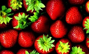 kcal kcal