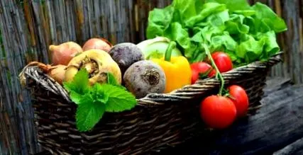 dieta