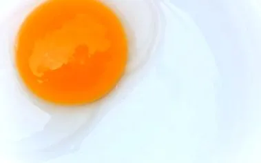 planul